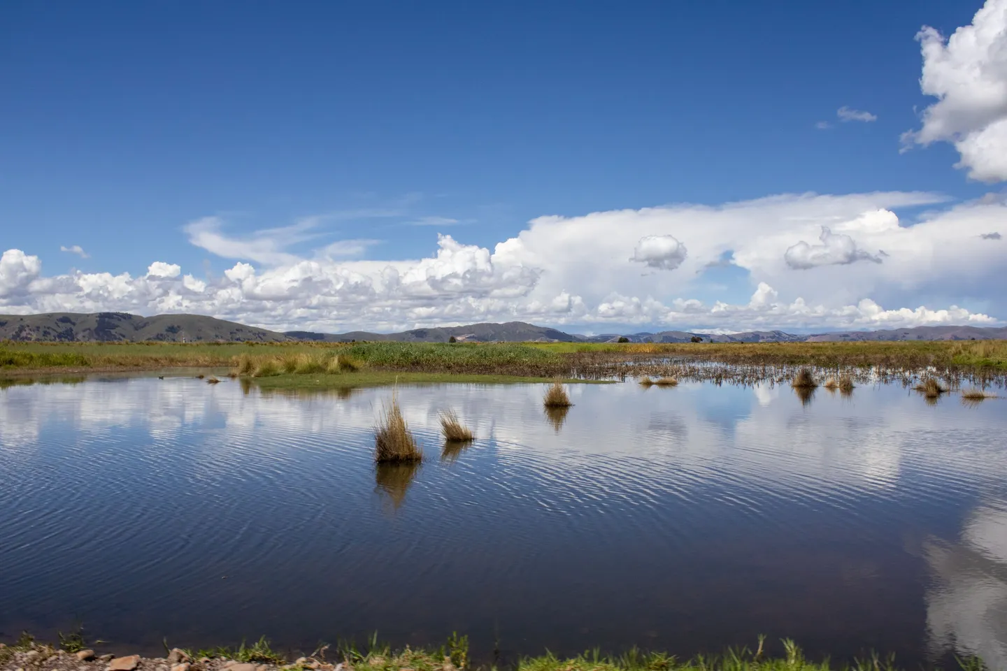 Wetland, water and mountains in Puno, Perú.